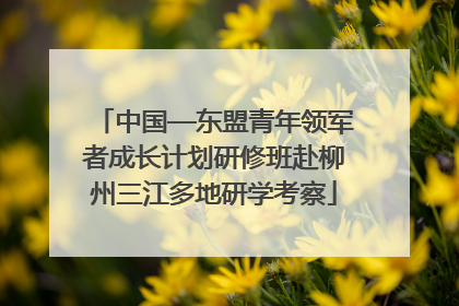 中国—东盟青年领军者成长计划研修班赴柳州三江多地研学考察