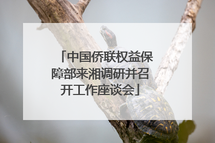 中国侨联权益保障部来湘调研并召开工作座谈会