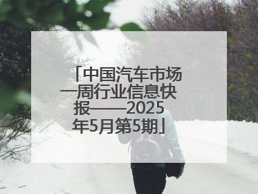 中国汽车市场一周行业信息快报——2025年5月第5期