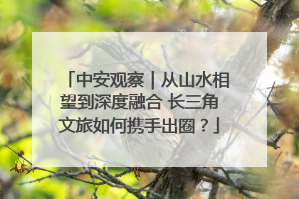 中安观察｜从山水相望到深度融合 长三角文旅如何携手出圈？