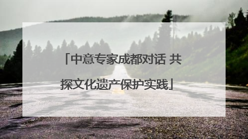 中意专家成都对话 共探文化遗产保护实践