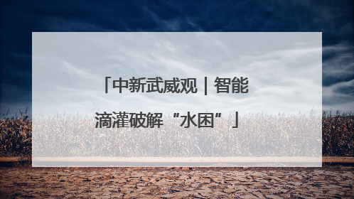 中新武威观｜智能滴灌破解“水困”