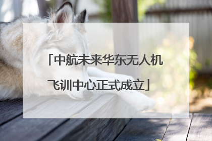中航未来华东无人机飞训中心正式成立