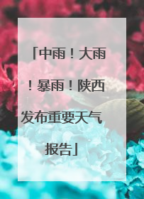 中雨！大雨！暴雨！陕西发布重要天气报告