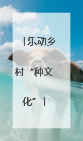 乐动乡村“种文化”