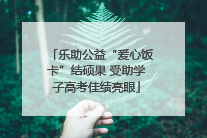 乐助公益“爱心饭卡”结硕果 受助学子高考佳绩亮眼