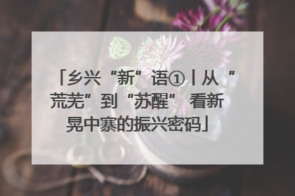 乡兴“新”语①丨从“荒芜”到“苏醒” 看新晃中寨的振兴密码
