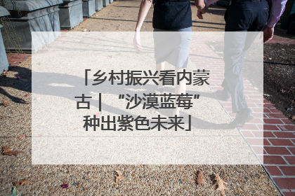 乡村振兴看内蒙古｜“沙漠蓝莓”种出紫色未来