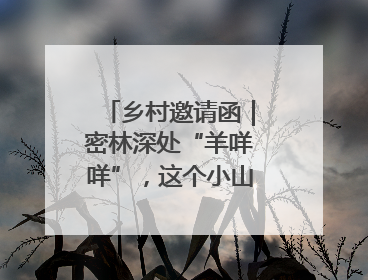 乡村邀请函｜密林深处“羊咩咩”，这个小山村如何逆袭？