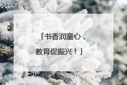 书香润童心，教育促振兴！