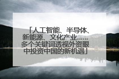 人工智能、半导体、新能源、文化产业……多个关键词透视外资眼中投资中国的新机遇