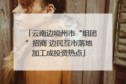 云南边境州市“组团”招商 边民互市落地加工成投资热点