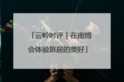 云岭时评｜在南博会体验旅居的美好