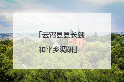 云霄县县长到和平乡调研