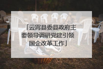 云霄县委县政府主要领导调研党建引领国企改革工作