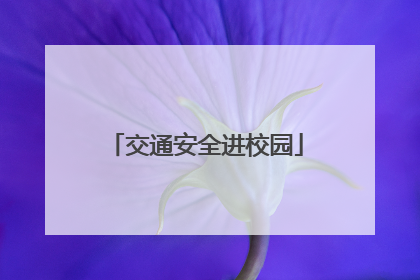 交通安全进校园