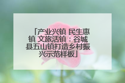 产业兴镇 民生惠镇 文旅活镇：谷城县五山镇打造乡村振兴示范样板