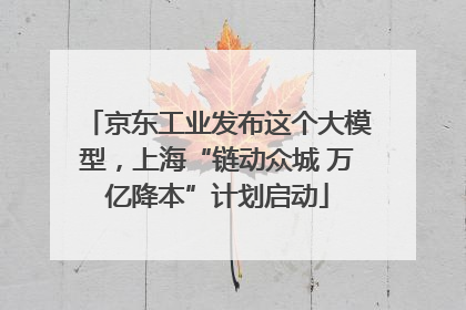 京东工业发布这个大模型，上海“链动众城 万亿降本”计划启动