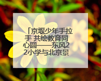 京堰少年手拉手 共绘教育同心圆——东风22小学与北京景风小学开展对口协作活动