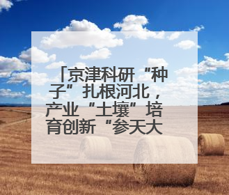 京津科研“种子”扎根河北，产业“土壤”培育创新“参天大树”