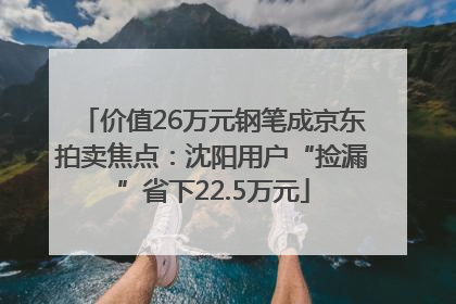 价值26万元钢笔成京东拍卖焦点：沈阳用户“捡漏”省下22.5万元