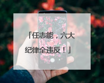 任志能，六大纪律全违反！