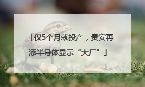 仅5个月就投产，贵安再添半导体显示“大厂”