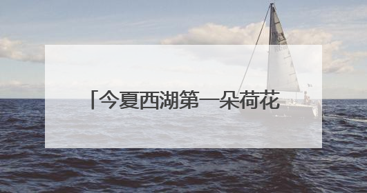 今夏西湖第一朵荷花开啦，比去年早5天
