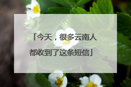 今天，很多云南人都收到了这条短信