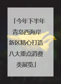 今年下半年 青岛西海岸新区精心打造八大重点消费类展览