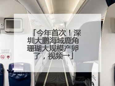 今年首次！深圳大鹏海域鹿角珊瑚大规模产卵了，视频→
