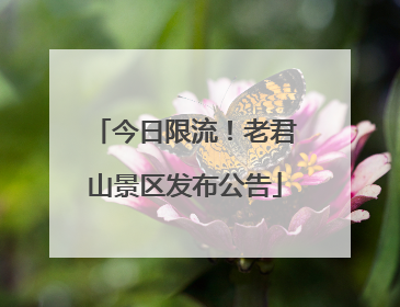 今日限流！老君山景区发布公告