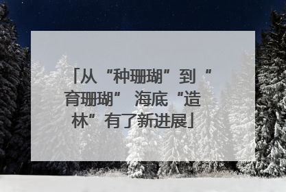 从“种珊瑚”到“育珊瑚” 海底“造林”有了新进展