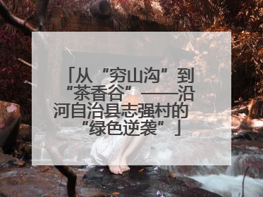 从“穷山沟”到“茶香谷”——沿河自治县志强村的“绿色逆袭”