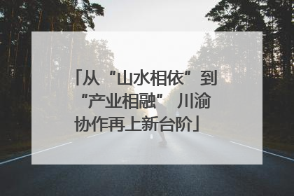 从“山水相依”到“产业相融” 川渝协作再上新台阶