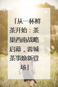 从一杯鲜茶开始：茶巢西南战略启幕，蓉城茶事焕新登场