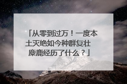 从零到过万！一度本土灭绝如今种群复壮 麋鹿经历了什么？