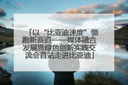 以“比亚迪速度”领跑新赛道——媒体融合发展暨绿色创新实践交流会首站走进比亚迪