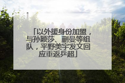 以外援身份加盟，与孙颖莎、蒯曼等组队，平野美宇发文回应重返乒超