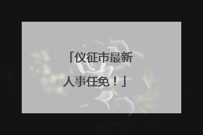 仪征市最新人事任免！
