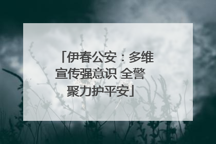 伊春公安：多维宣传强意识 全警聚力护平安