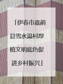 伊春市嘉荫县雪水温村厚植文明底色促进乡村振兴