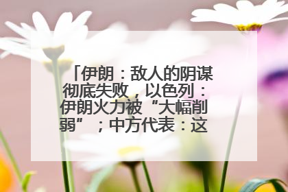 伊朗：敌人的阴谋彻底失败，以色列：伊朗火力被“大幅削弱”；中方代表：这次不能再有欺骗