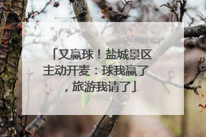 又赢球！盐城景区主动开麦：球我赢了，旅游我请了