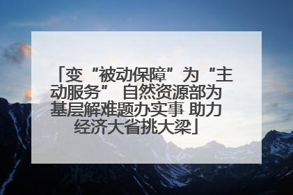变“被动保障”为“主动服务” 自然资源部为基层解难题办实事 助力经济大省挑大梁