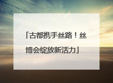 古都携手丝路！丝博会绽放新活力