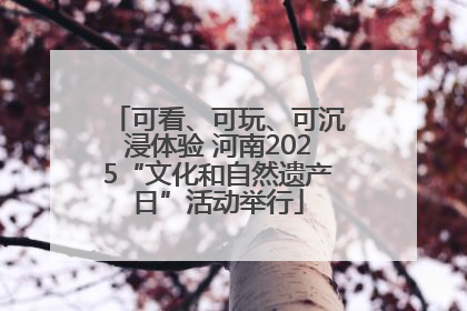 可看、可玩、可沉浸体验 河南2025“文化和自然遗产日”活动举行