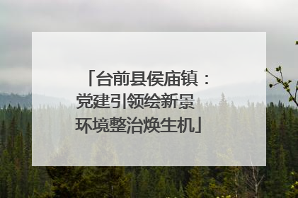 台前县侯庙镇：党建引领绘新景 环境整治焕生机