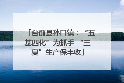 台前县孙口镇：“五基四化”为抓手 “三夏”生产保丰收