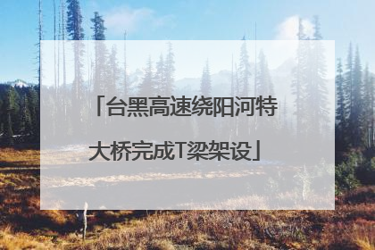 台黑高速绕阳河特大桥完成T梁架设